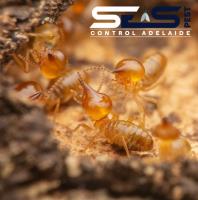 SES Termite Control Adelaide image 6